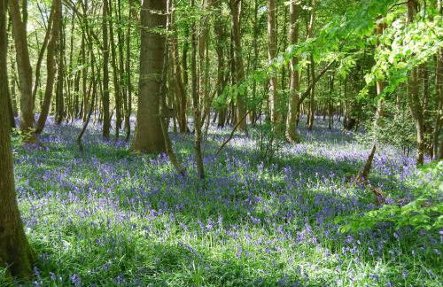 Apartment 103 - Uk48704 - Foto 14