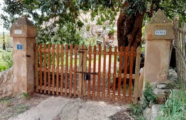 Can Pe es in Puerto de Andratx - Foto 10