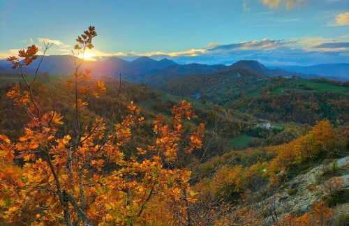 Bosco Stellato - Foto 27