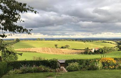 Betula Views - Photo 23