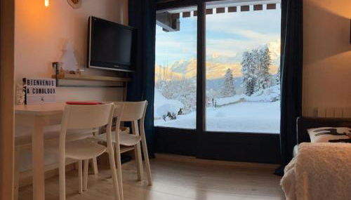 La marmotte: Vue Mont Blanc, terrasse, parking - Foto 4