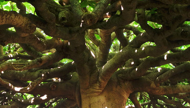 Entdecke Formentera mit dem Fahrrad - Foto 4