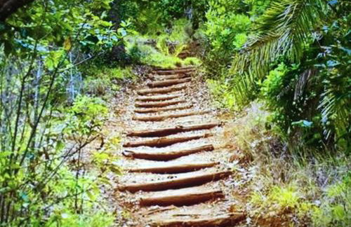 Casa Norb Teror - Foto 34