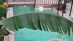 Maison familiale charmante - Foto 3