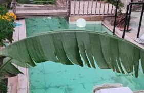 Maison familiale charmante - Foto 3