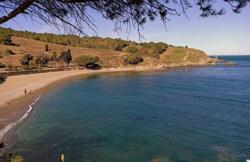 Le Rooftop Des Elmes, T2 Vue mer - Foto 21