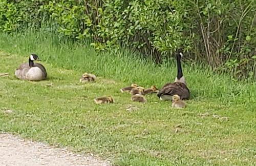 HOME4GOLF Uttlau - Foto 42