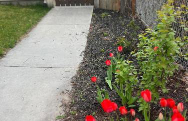 The Coop on Cooper - Foto 19