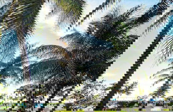 NEW Stunning Beachfront Condo at the Coral Beach - Foto 66