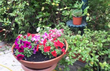 Quintinha dos Cedros - Foto 62