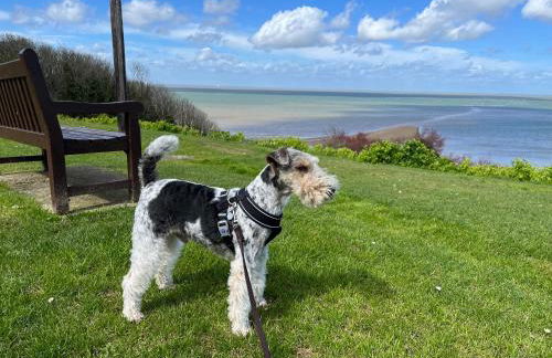 Whitstable The Jolly - Foto 44