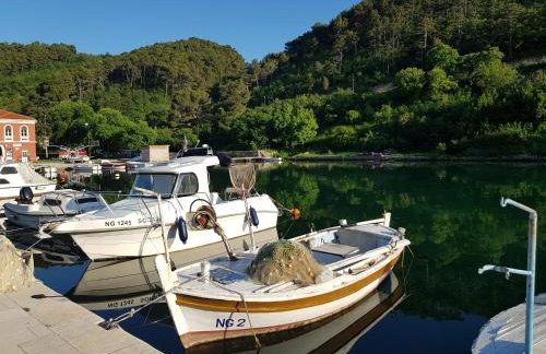 Villa Eximia Novigrad - Photo 37