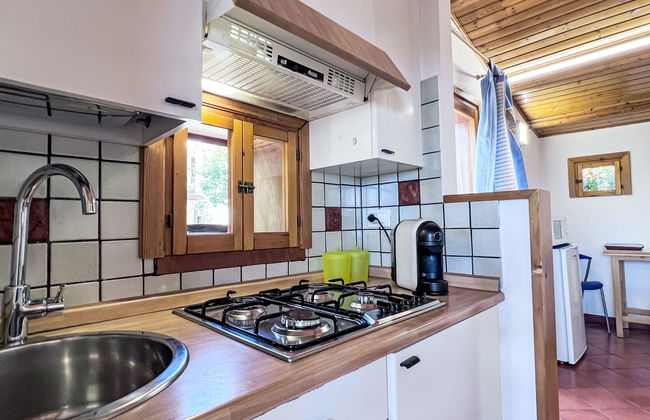 Melograno di Patrizia - Foto 9