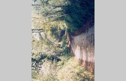 Okewoon Farm - Foto 6