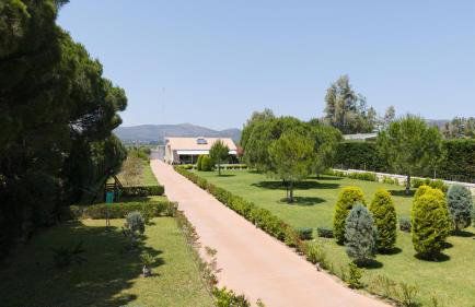 Schinias Paradise - Photo 3