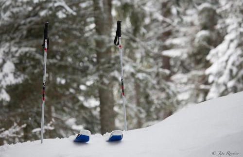 Chez Francine - Photo 48