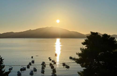 Koklas Studios - Foto 41