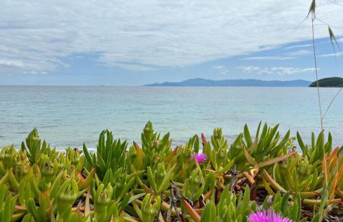 Kiki's House - Foto 23