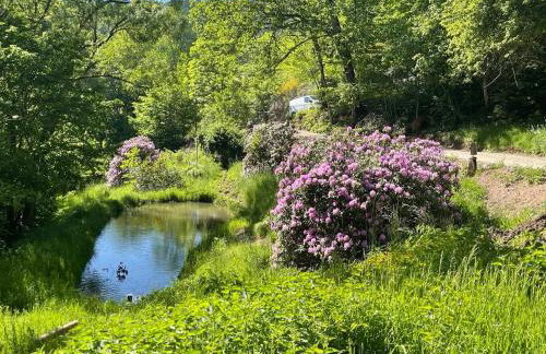 Schwarzwaldhütte am Bach mit Sauna - Foto 19