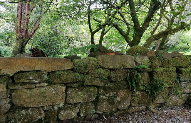 Countryside Cottage Retreat at Ty'r Cwm Farm - Photo 10