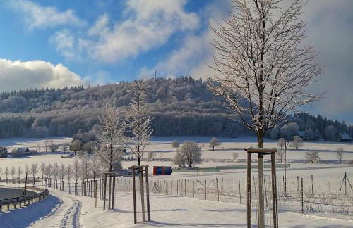 Großzügige Fewo Peter in Bärenstein - Foto 16