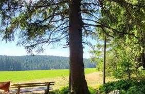 FeWo Gretel Schönwald - Foto 24