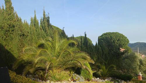 Parc du Montnegre avec magnifique vue mer - Foto 2, Garden view