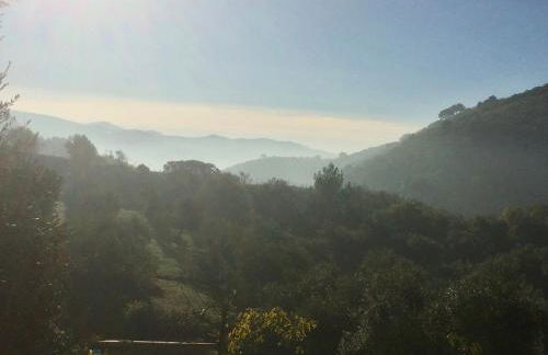 la fontana - Foto 77