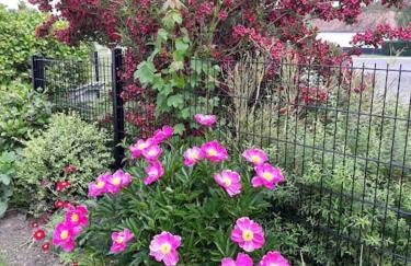 Aux couleurs de la Baie à Sailly-Bray - Foto 29