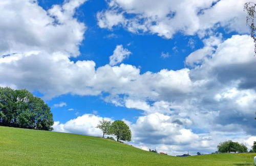 Ferienhaus Rasch - Foto 24