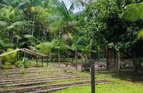 Chácara Bela Vista - Photo 23