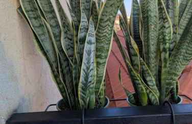 Due passi dal mare - Foto 24