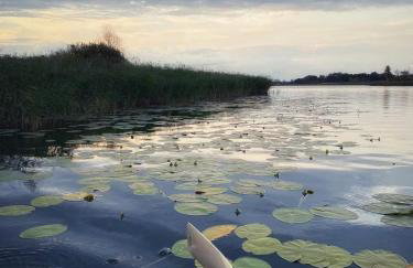 Domek nad jeziorem z własnym pomostem - Foto 7