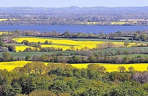 FeWo Am See 15A - Foto 16