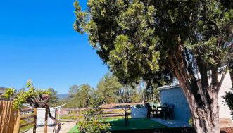 MirakostaCB - Foto 5, Garden