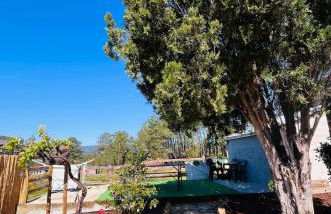 MirakostaCB - Foto 1