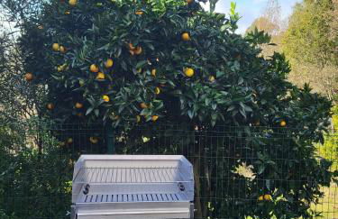 Maisons des Fleurs - Foto 33