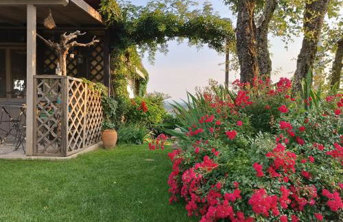 Cà Nostra B&B Home Restaurant - Photo 30