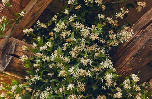 Il Casale di Santamettole - Foto 9