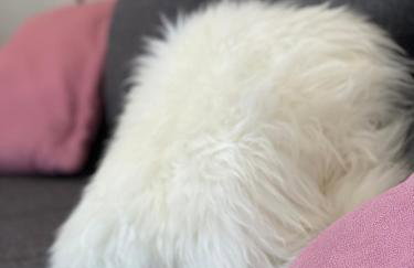 Villa Evita Apartments - Foto 7