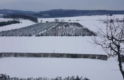 Ferienwohnung Haus Weitblick - Foto 26