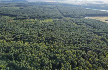 Zakole Brdy - Foto 69