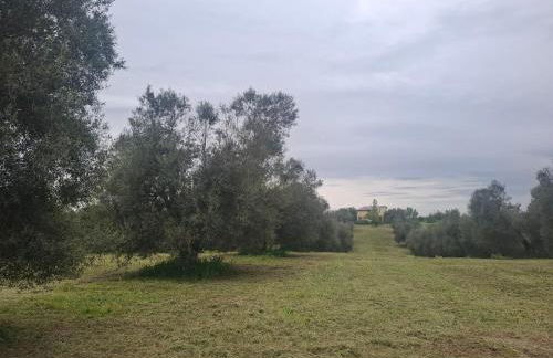 Il Casale di Dorothea - Foto 9