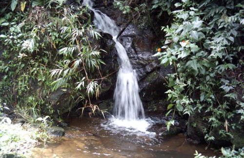 Sítio Recanto do Araçá - Foto 24