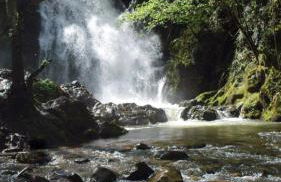 Eskolazaharra - Foto 1