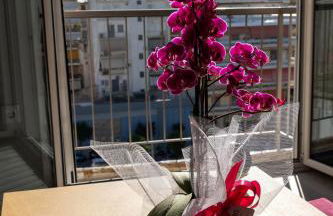 "Elegance" Central Luxury Apartment Piraeus - Foto 11