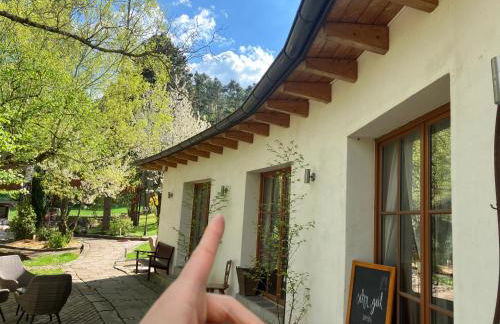 Landgut Seebühne - Apartment mit Seeblick im Steigerwald - Foto 6