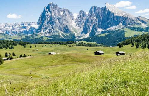 Vidora Apartments - Dolomites Escape in Alpe di Siusi (Seiser Alm) - Foto 14