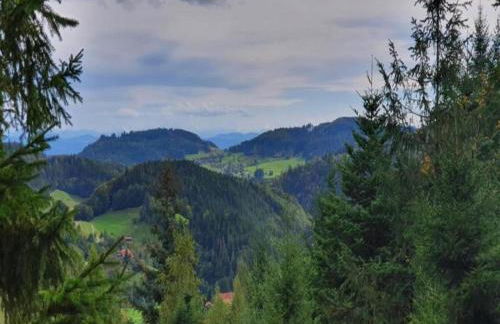 Apartment in Kleines Wiesental - Foto 65