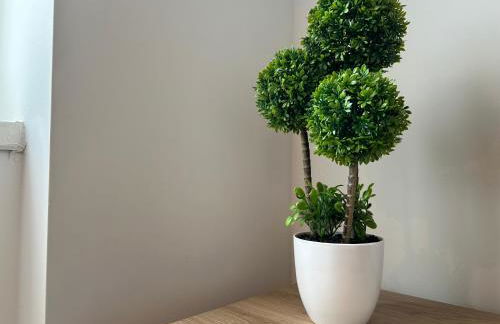 Fanzago Bilo Home - Foto 10